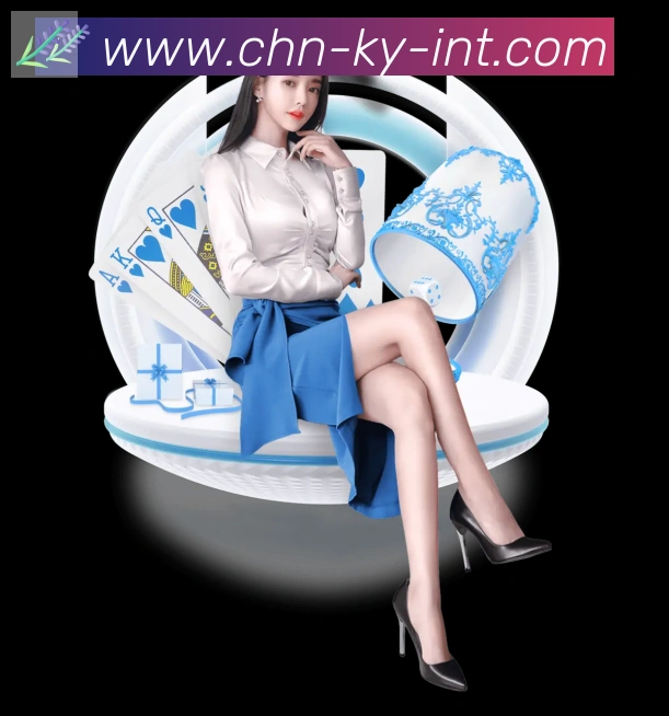 未来规划